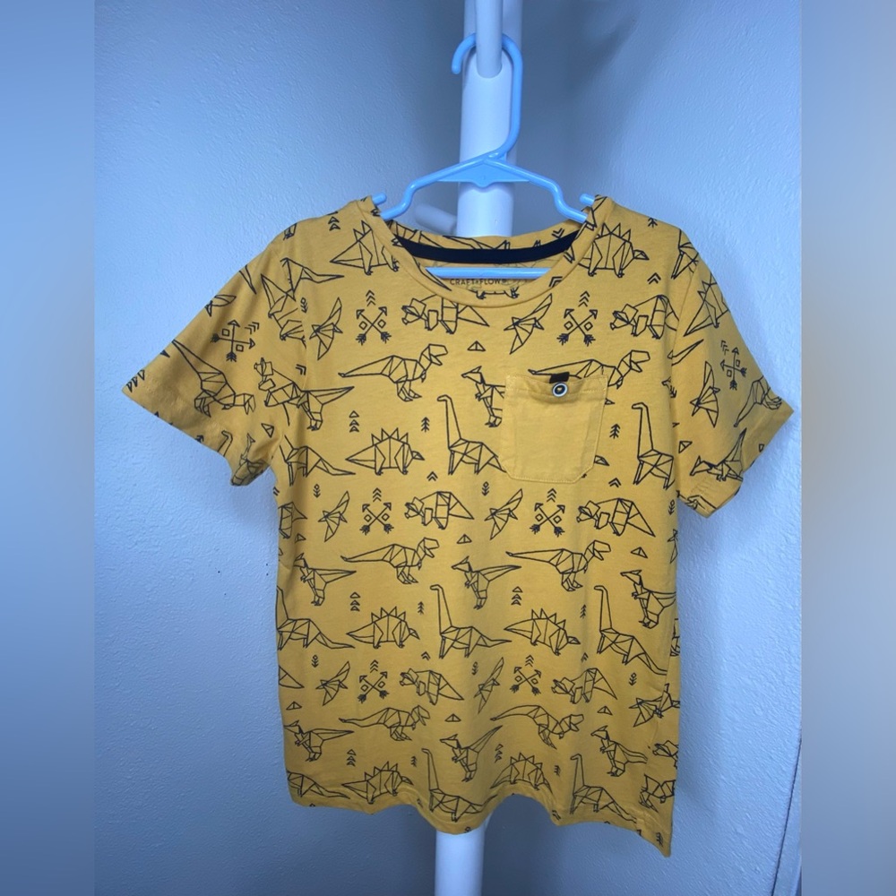 Craft & Flow Boys 6 Dinosaur Shirt